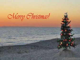 Wallpaper Christmas Treeon Beach Island