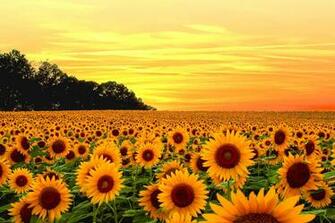 Things To Check Off Your Bucket List This Summer