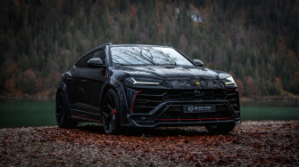Black Fox