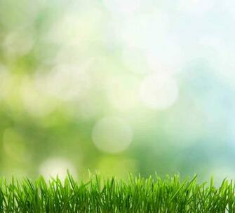 Natural Spring Background Full HD Wall