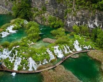 Tropical Green Paradise UHD Wallpaper Ultra High Definition