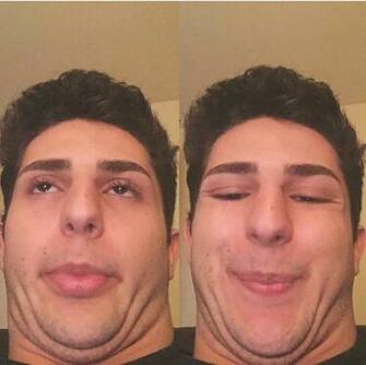 Llama Twaimz HD Wallpaper