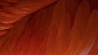 Ios Hier Als Vorgeschmack Animierte Wallpaper Jetzt Ladenitopnews