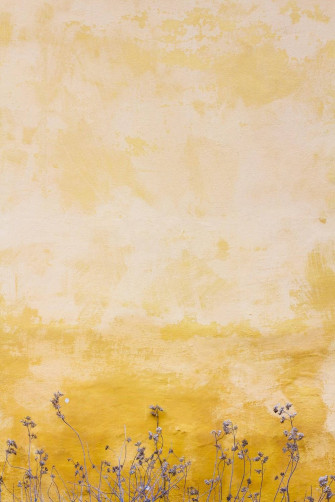 Top Yellow Vintage Aesthetic Wallpaper Full HD 4k To Use