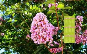 Desktop Calendar Monthly Calendars Widescreen Wallpaper HD