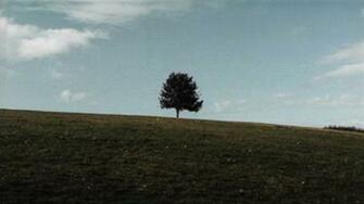 Six Feet Under Wallpaper Galleryhip The