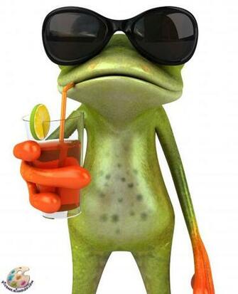Funny Frogs