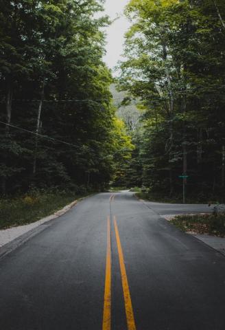 Spring Road Pictures Image