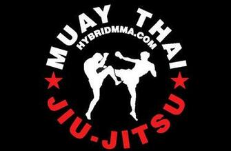 Gracie Jiu Jitsu Wallpaper Brazilian