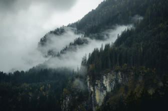 Fog Rolling Down The Wooded Slope Of A Mountain In Alps Foggy Trees 4k HD Wallpaper