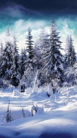 Winter HD Wallpaper For Google Pixel Xl Pictures