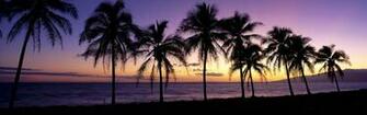 Panoramic Widescreen Wallpaper System V3
