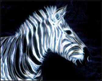Blue Zebra Wallpaper