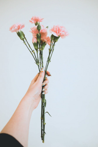 Top Pink Flowers Aesthetic Wallpaper Full HD 4k To Use