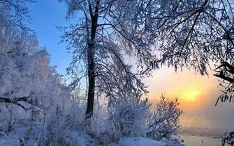 Superb Sunshine Wallpaper