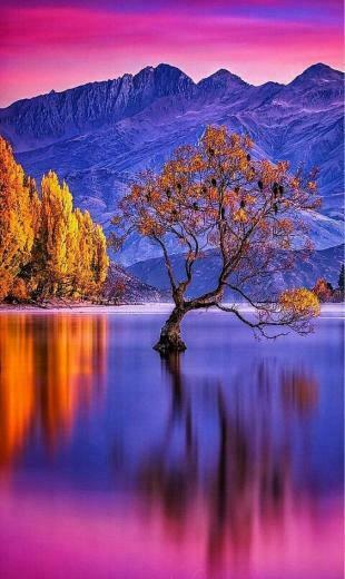 Mithra On Phone Screen Wallpaper Beautiful Photography