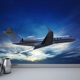 Private Jet Flying Plane Aviation Photo Wallpaper Mural