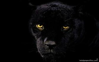 Love Quotes Black Panther Wallpaper