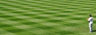 Baseball Field Background