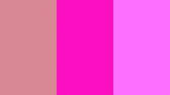 Shocking Pink