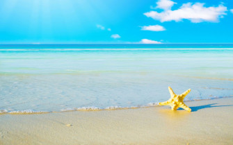 Summer Desktop Wallpaper Top