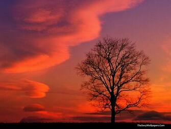 Sunsets Wallpaper Crimson Twilight Kentucky