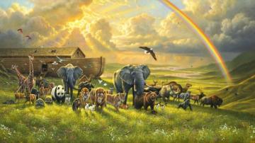 Noahs Ark Nine Desktop Pc And Mac Wallpaper