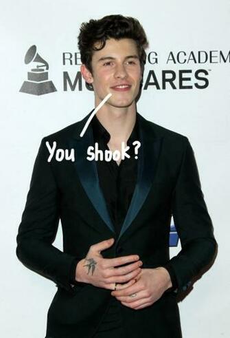 The Internet Cannot Handle These Sexy Shawn Mendes For Calvin