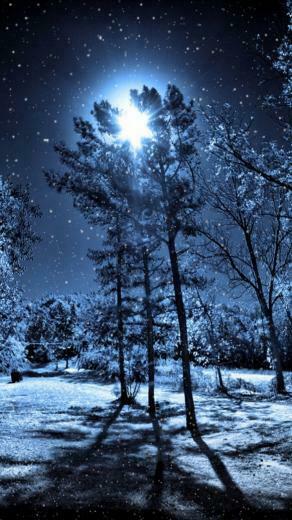 Winter iPhone Wallpaper