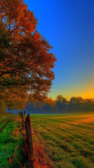 Autumn Nature 4k iPhone Wallpaper