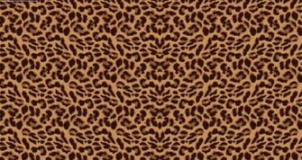 Leopard Print Background Evolutions
