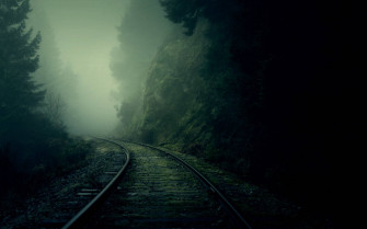 Dark Green Aesthetic Wallpaper