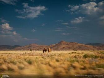 National Geographic Wallpaper HD Of The Day Picture