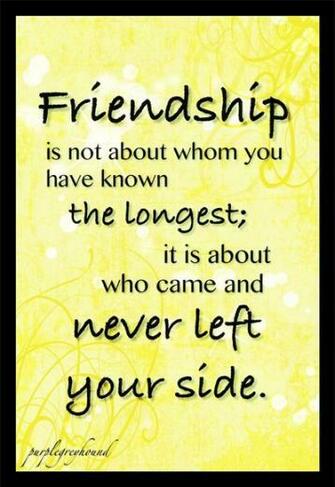 Friendship Quotes
