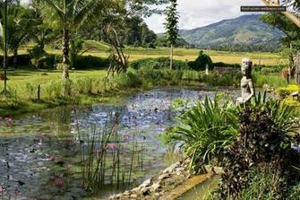 Laos Wallpaper