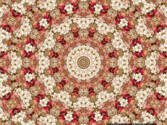 Mandala Wallpaper HD