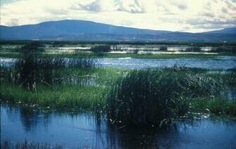 Picture Image Wetland Landscape Mountains Background