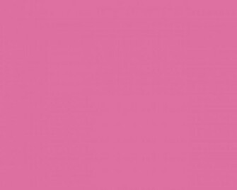 Pink Solid Color Background And The Below
