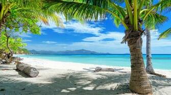 Tropical Wallpaper