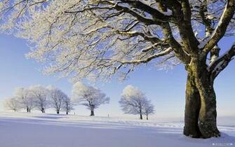 Black Forest Germany Wallpaper