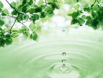 3d Leaves And Water Drop Apple iPad Wallpaper Junkinside