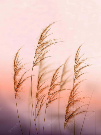 A Lush Backdrop Of Golden Pampas Grass Wallpaper