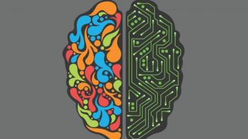 Brain Art Wallpaper Top Background