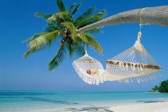 Hammock On Palm Jpg Jpeg Pilt Pikslit Skaleeritud