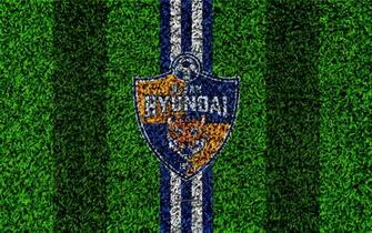 Wallpaper Ulsan Hyundai Fc 4k Logo Grass Texture
