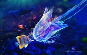 High Definition Jelly Fish Kiss Wallpaper Screensavers Jpg