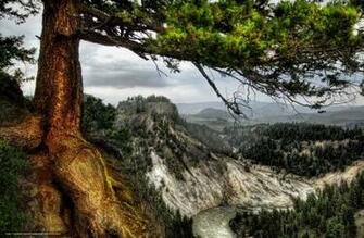 Wallpaper Montana Wyoming Yellowstone Mountains