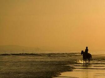 Horse Riding On The Beach Animal Wallpaper