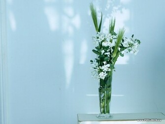 Ikebana Best Wallpaper On Your Desktop Nature
