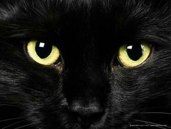 Black Cat Eyes Wallpaper Blue Yellow Green Red